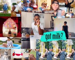 01 got milk collage