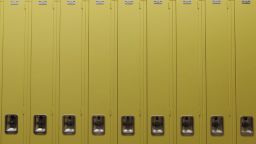 united shades of america lockers 