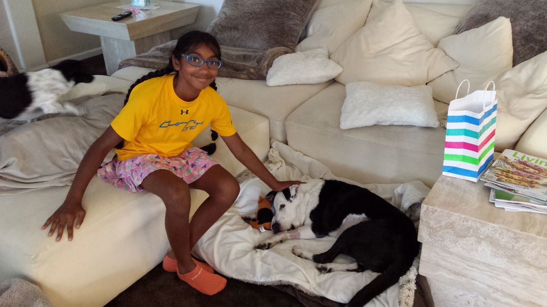 Meena Kumar pet sits in her home to raise money for Muttville Senior Dog Rescue.