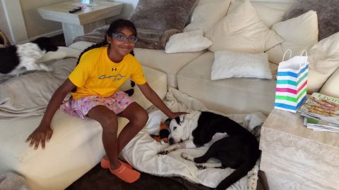 Meena Kumar pet sits in her home to raise money for Muttville Senior Dog Rescue.