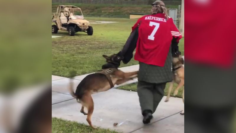 Kaepernick military sales jersey