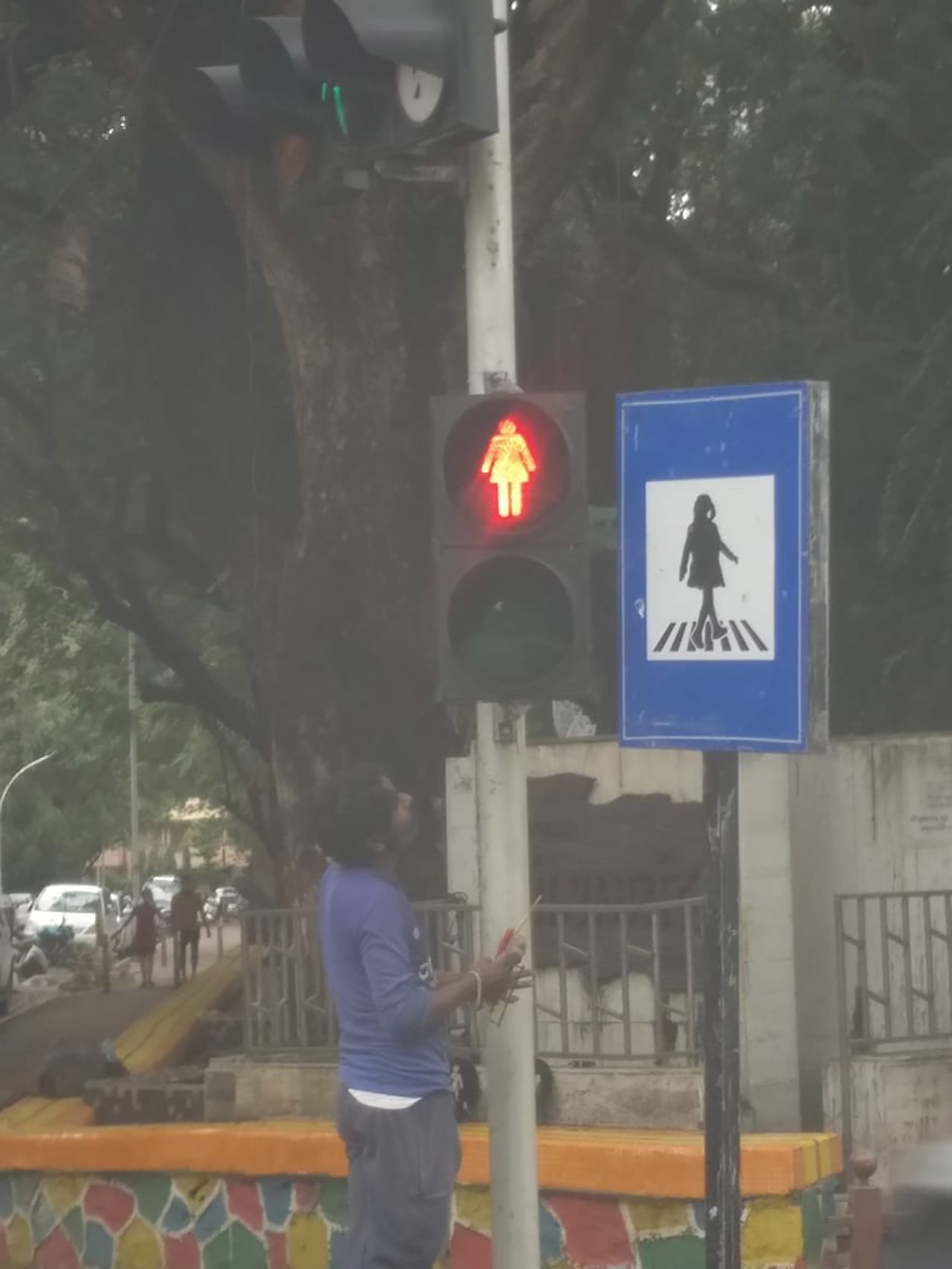 An image of the new crossings tweeted by Mumbai politician Aaditya Thackeray.