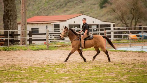 Senior Airman Michael Terrazas, 30th Security Forces Squadron conservation patrolman, does arena work in 2019 with military working horse Buck at Vandenberg Air Force Base in California. 