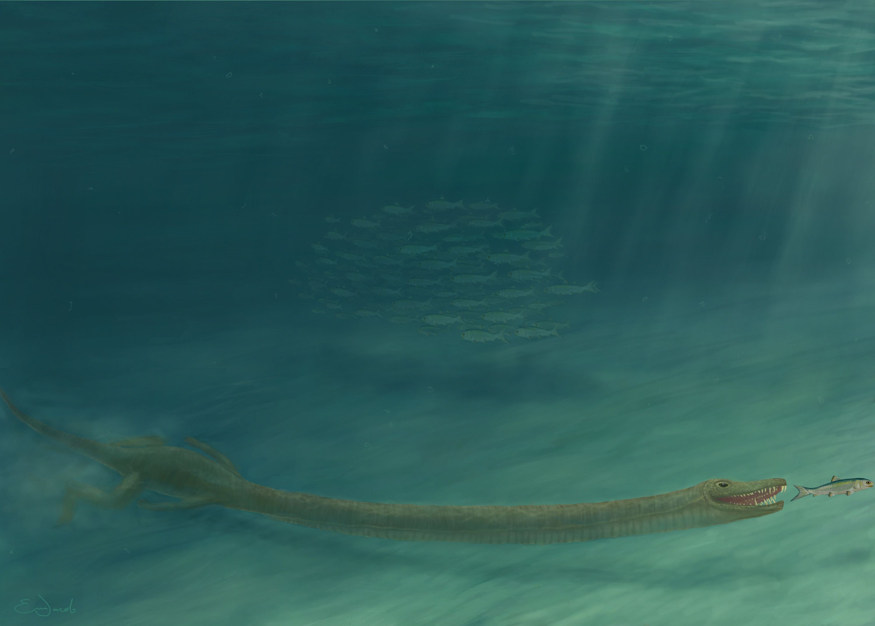Scientists have unraveled the riddle of a real-life sea monster | CNN