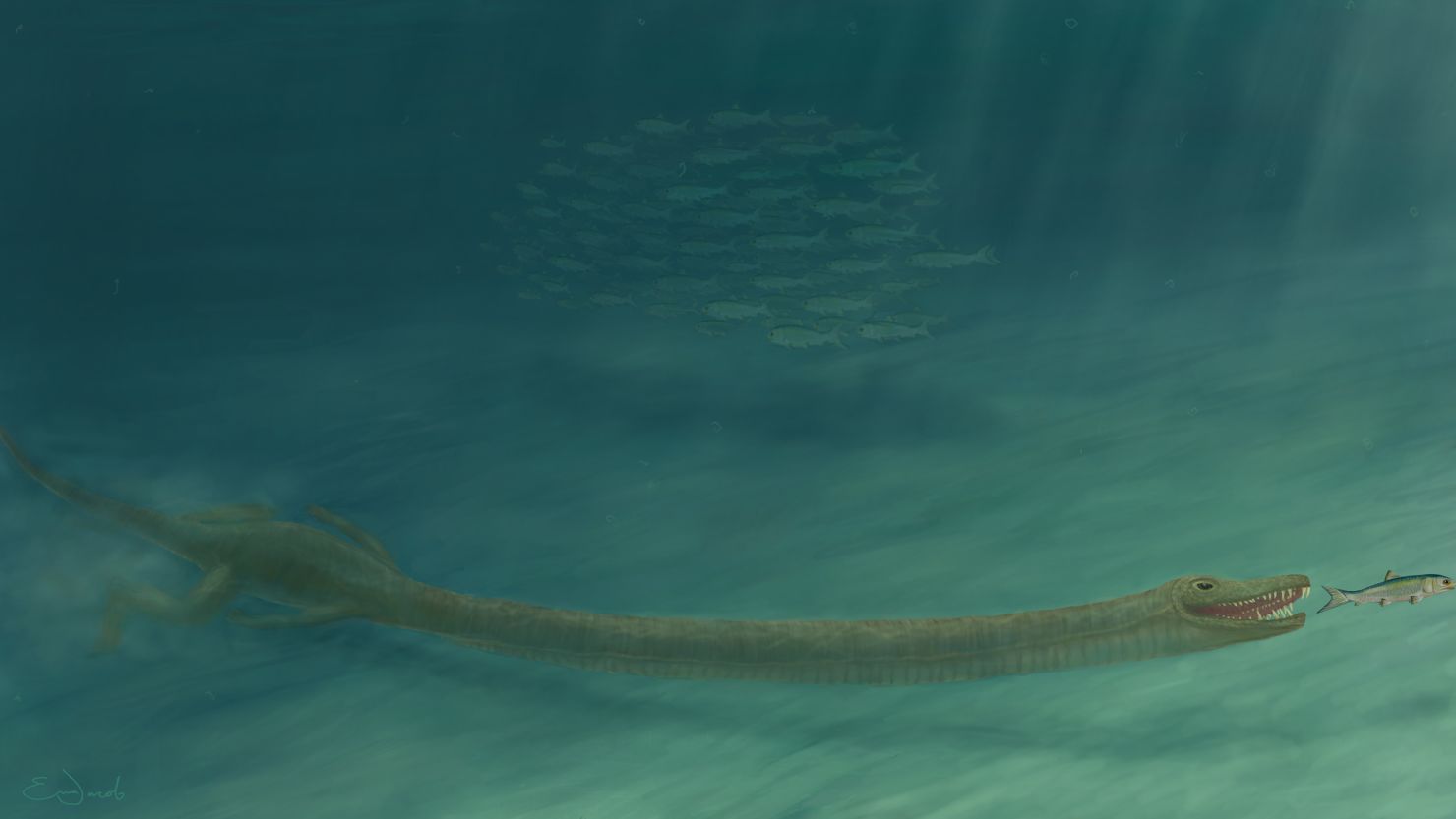 Scientists digitally reconstructed  the crushed skulls of Tanystropheus fossils, which revealed evidence that these reptiles were water-dwelling.