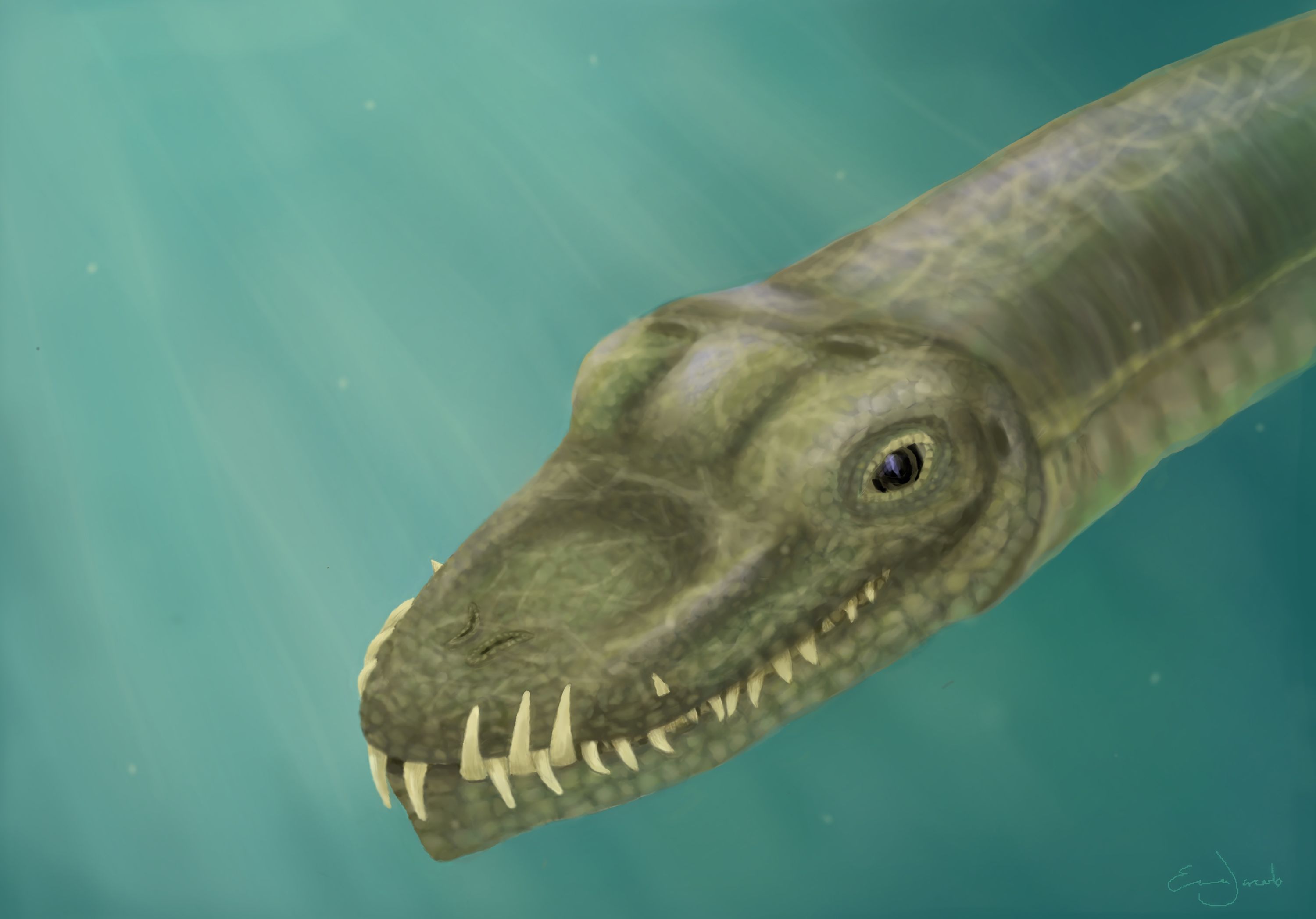 Scientists have unraveled the riddle of a real-life sea monster | CNN