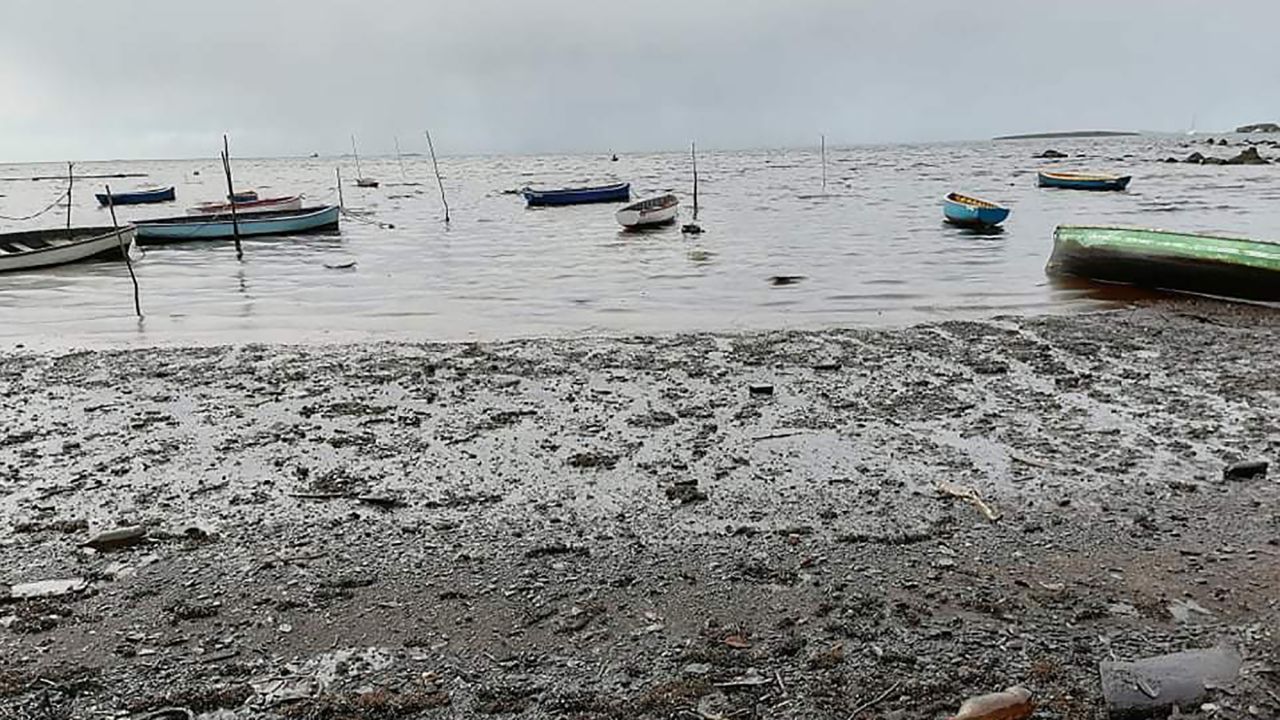 Photographs of the leak show thick, sticky oils coating the water and the ground.