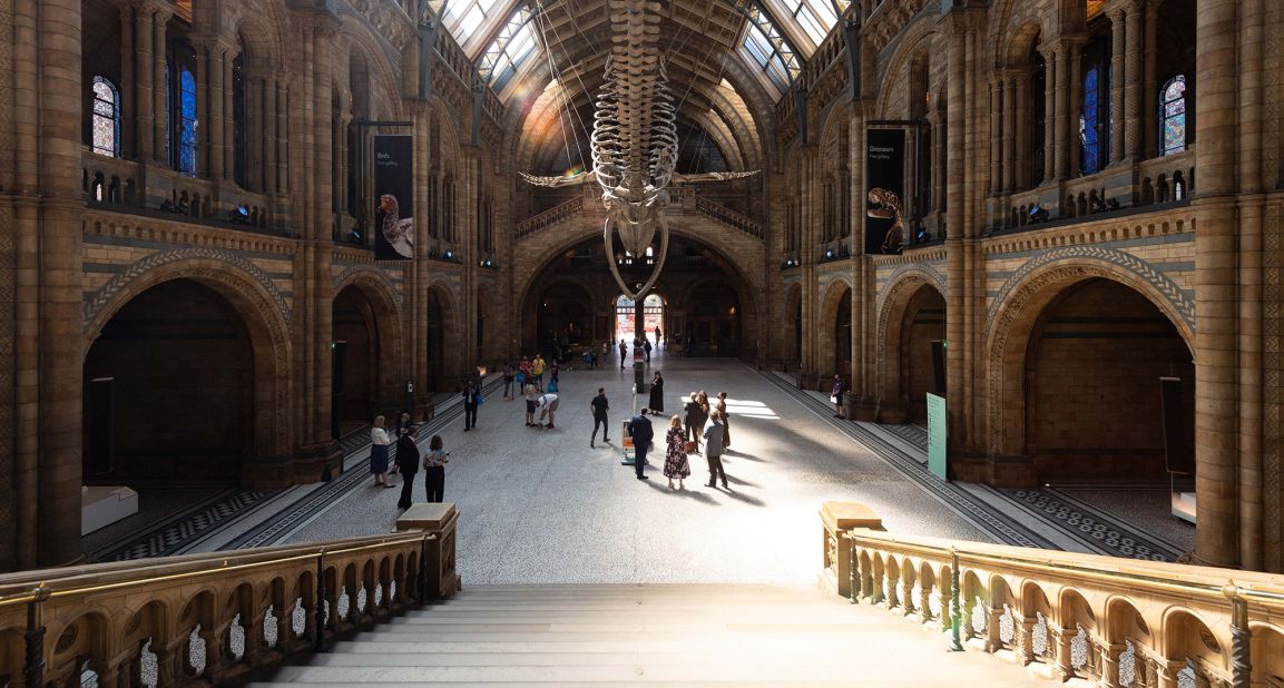 Visitors enjoy the lobby exhibits during the reopening of the Natural History Museum in London on August 5.