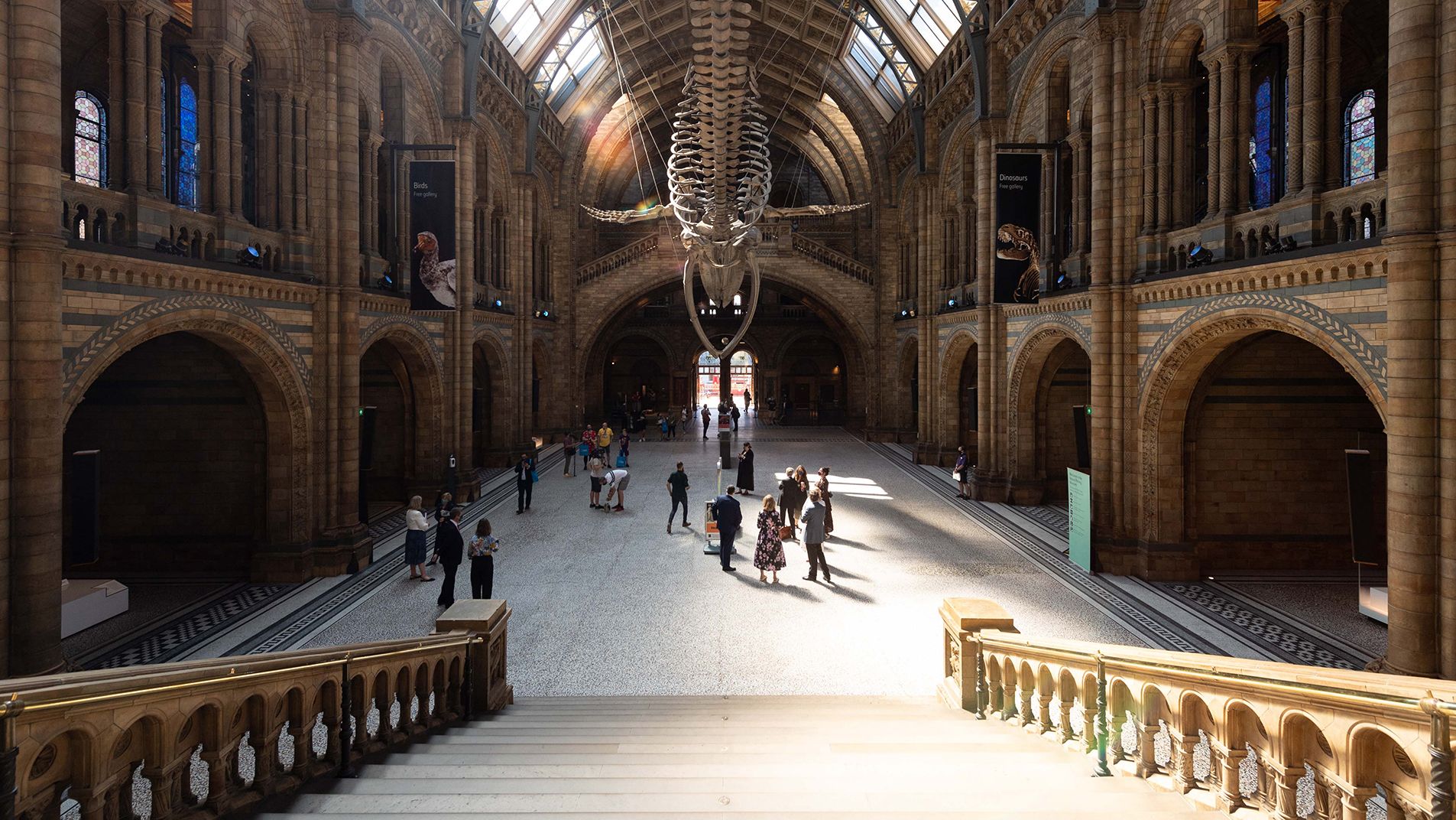 Visitors enjoy the lobby exhibits during the reopening of the Natural History Museum in London on August 5.
