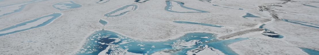 Meltwater lakes form every summer in depressions on the Milne Ice Shelf.