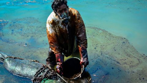 A man scoops leaked oil from the water.