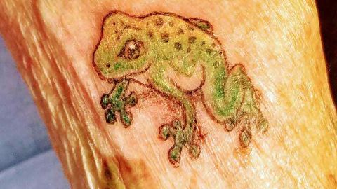 Pollack's new frog tattoo.