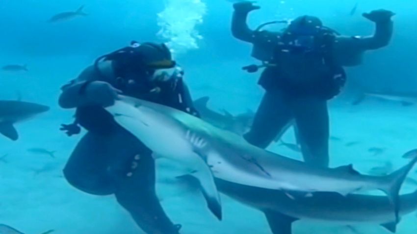 Mike Tyson Shark Week Dive 1