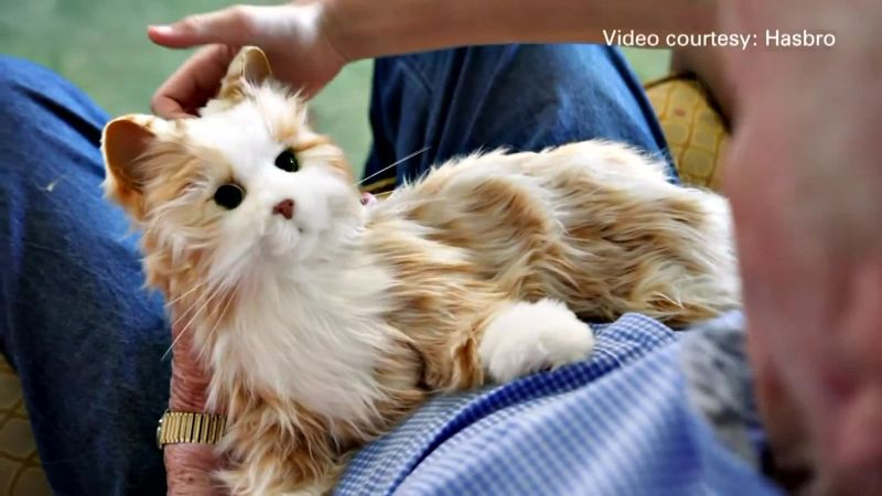 Lifelike cats shop for seniors