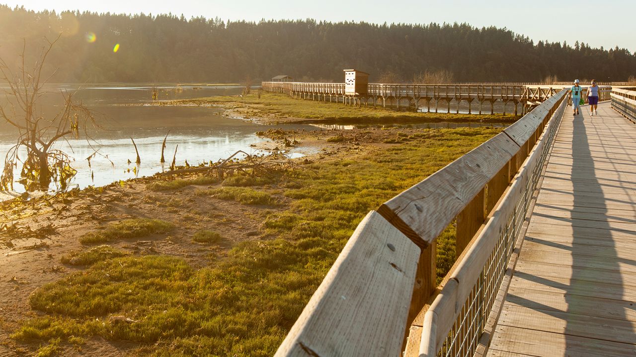 <strong>Refuge wetlands: </strong>Nisqually National Wildlife Refuge is located in Washington state between Tacoma and Olympia.
