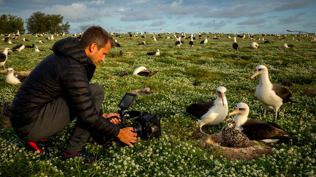 <strong>More than a bird watcher:</strong> Shive says he wasn't much of a bird watcher until he started filming and falling for the albatross.