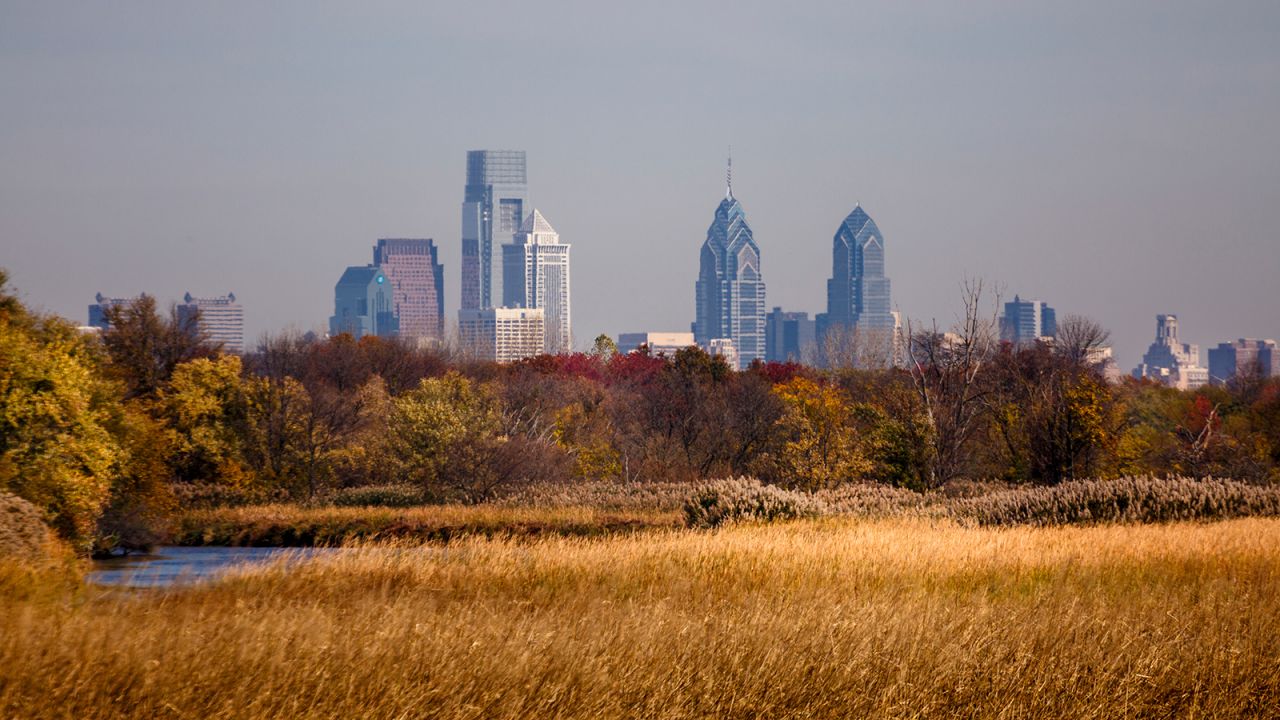 <strong>John Heinz National Wildlife Refuge: </strong>The refuge is in the foreground while the city skyline of Philadelphia lies in the background.