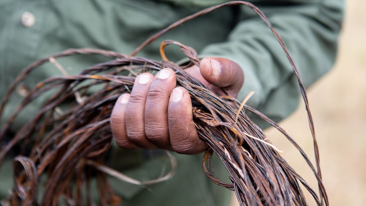 A ranger on a de-snaring patrol in Kenya's Mara Triangle holds items he's collected.