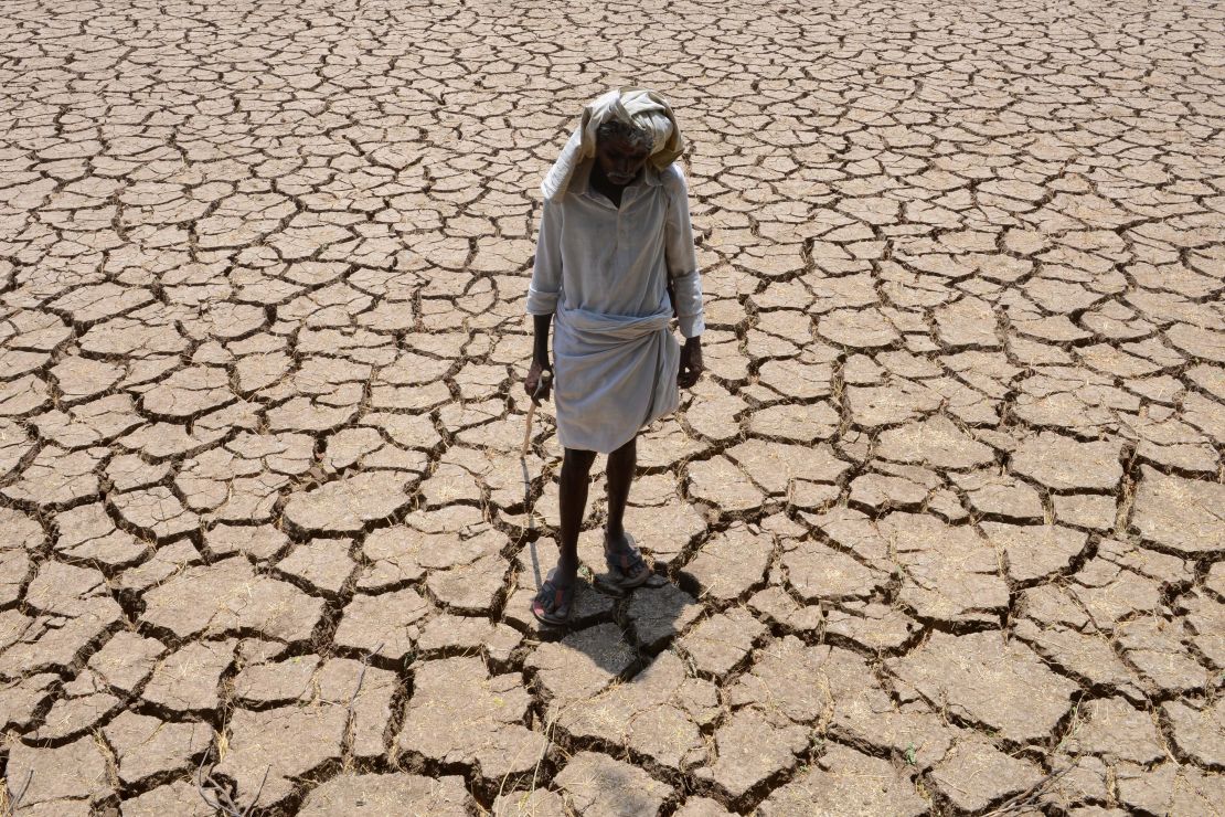 A farmer stands in a dried up field during a drought in the southern Indian state of Telangana.