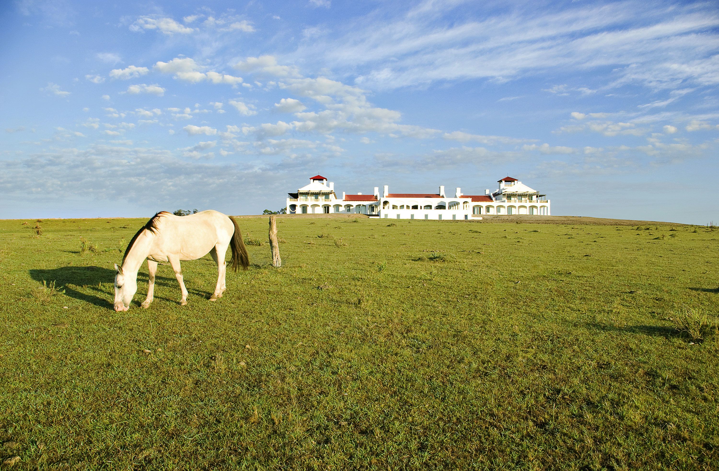 Lily's Learning Lab Makes Virtual Learning Possible While On Vacation -  Wilderness Resort