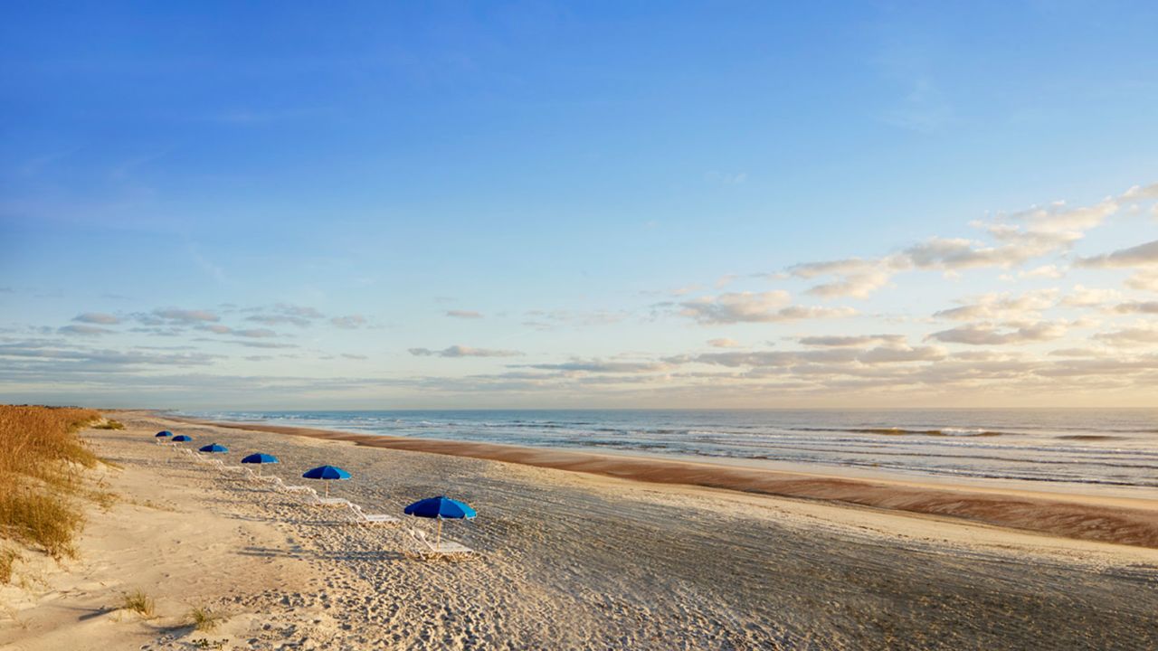 The Ritz-Carlton in Amelia Island, Florida, is taking advantage of its lush natural environment and offering an Ecology Field Trip package.