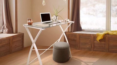 Stand Steady Joy Desk