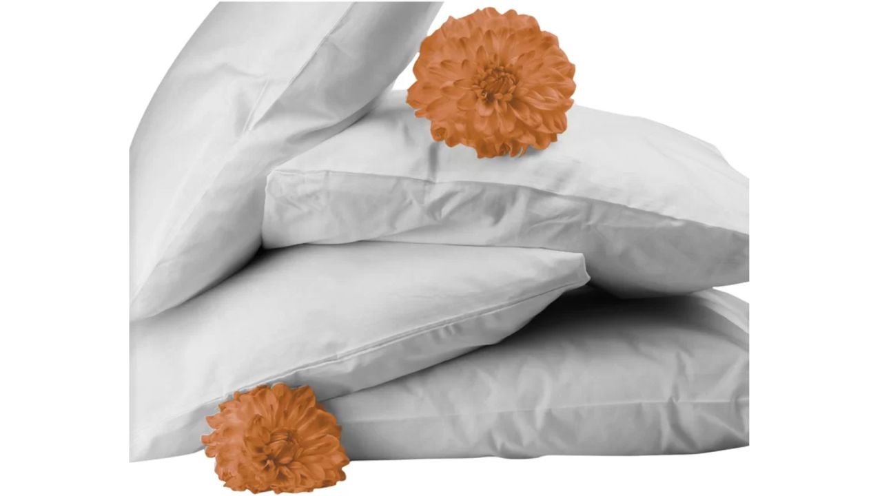 Bicor Featherfull Feather and Down Standard Pillows, 4-Pack 