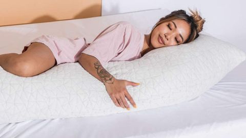 Coop Home Goods Adjustable Body Pillow