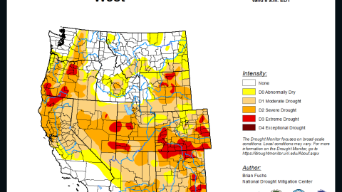 Drought image