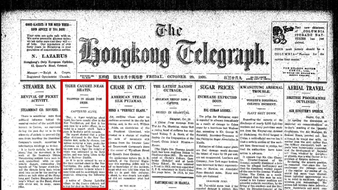 A story about a tiger sighting appears on the front page of the Hong Kong Telegraph in 1929.