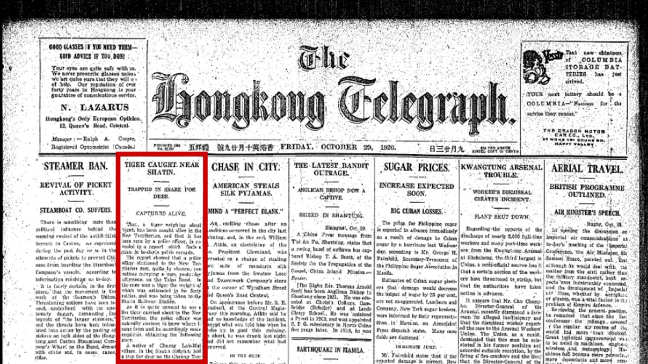 A story about a tiger sighting appears on the front page of the Hong Kong Telegraph in 1929.