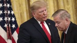 Lindsey Graham Trump Backbone
