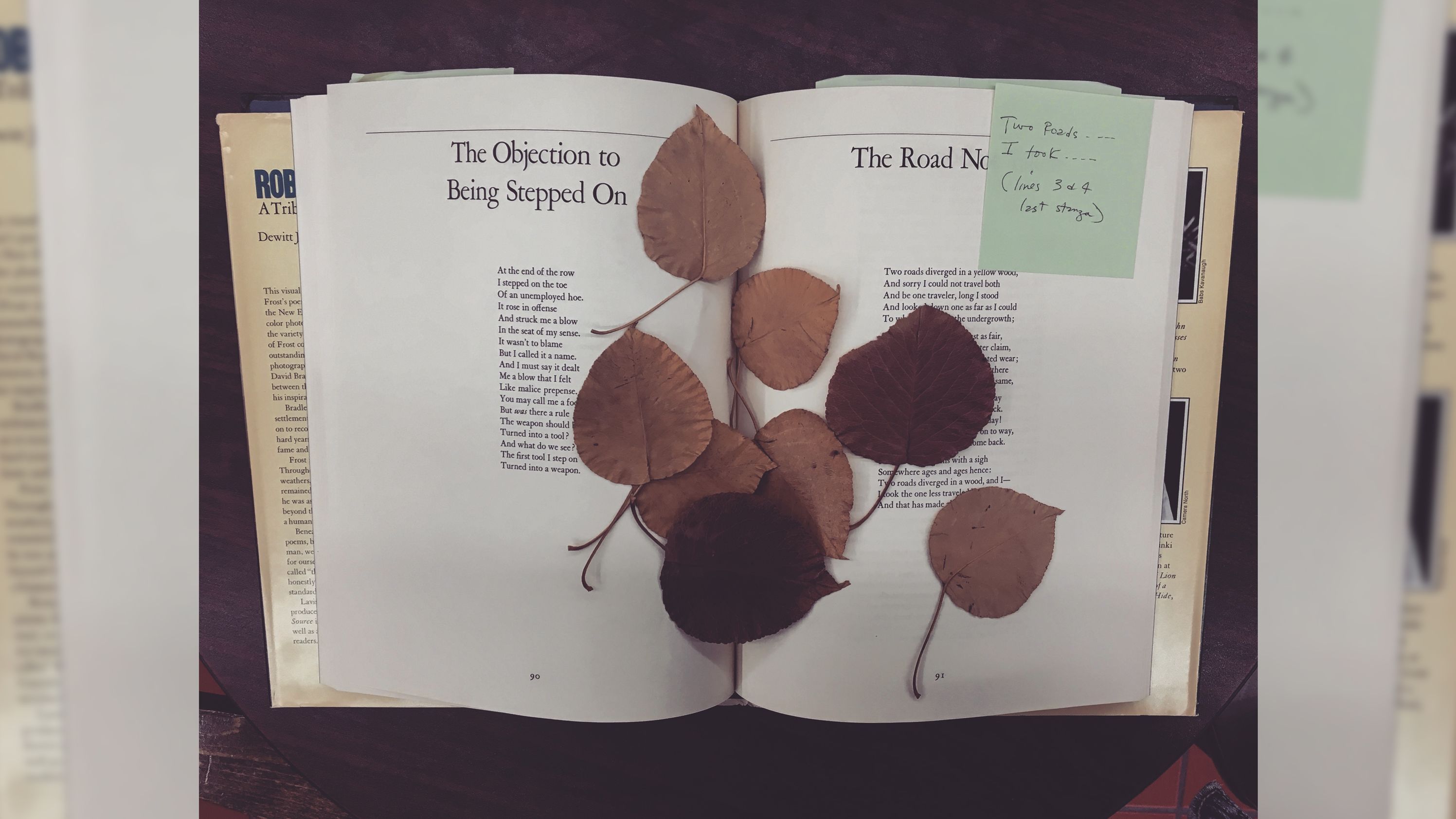 Smreker found these pressed leaves in a copy of Robert Frost's "A Tribute to the Source." She often finds pressed flowers and leaves, but she continues to search for a four-leaf clover -- one of the items on her "in used books bucket list."
