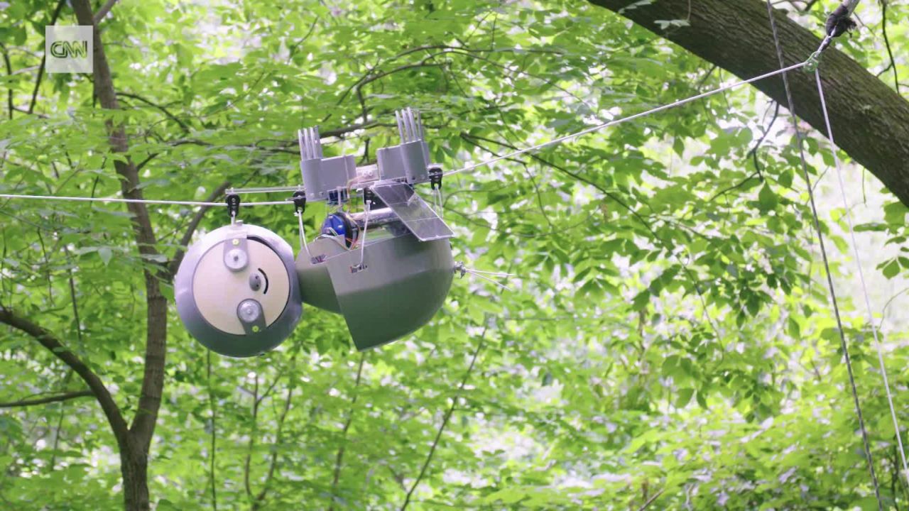 The SlothBot hangs in the trees above the Atlanta Botanical Garden.