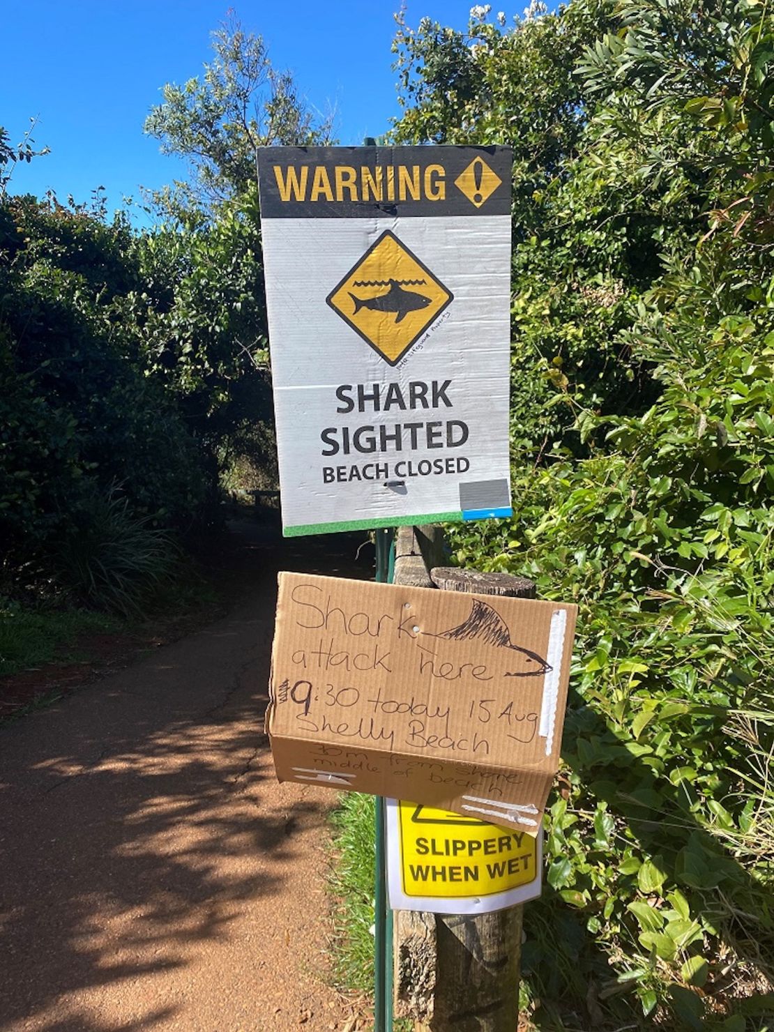A sign warning of a shark attack on August 15 at Shelley Beach, New South Wales, Australia.