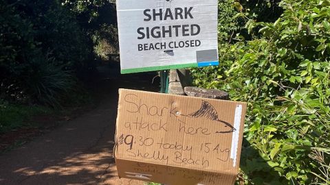 A sign warning of a shark attack on August 15 at Shelley Beach, New South Wales, Australia.