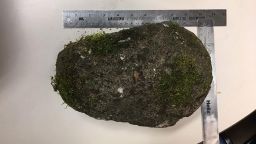 Portland police said this 9.5-pound rock was thrown at officers during overnight protests that began August 15, 2020. 