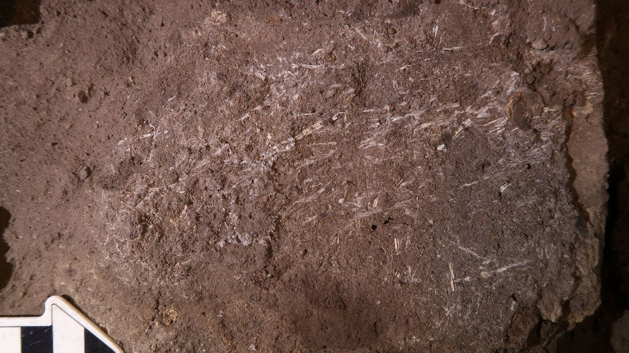Researchers uncovered the fossilized fragments of 200,000-year-old grass bedding in South Africa's Border Cave.