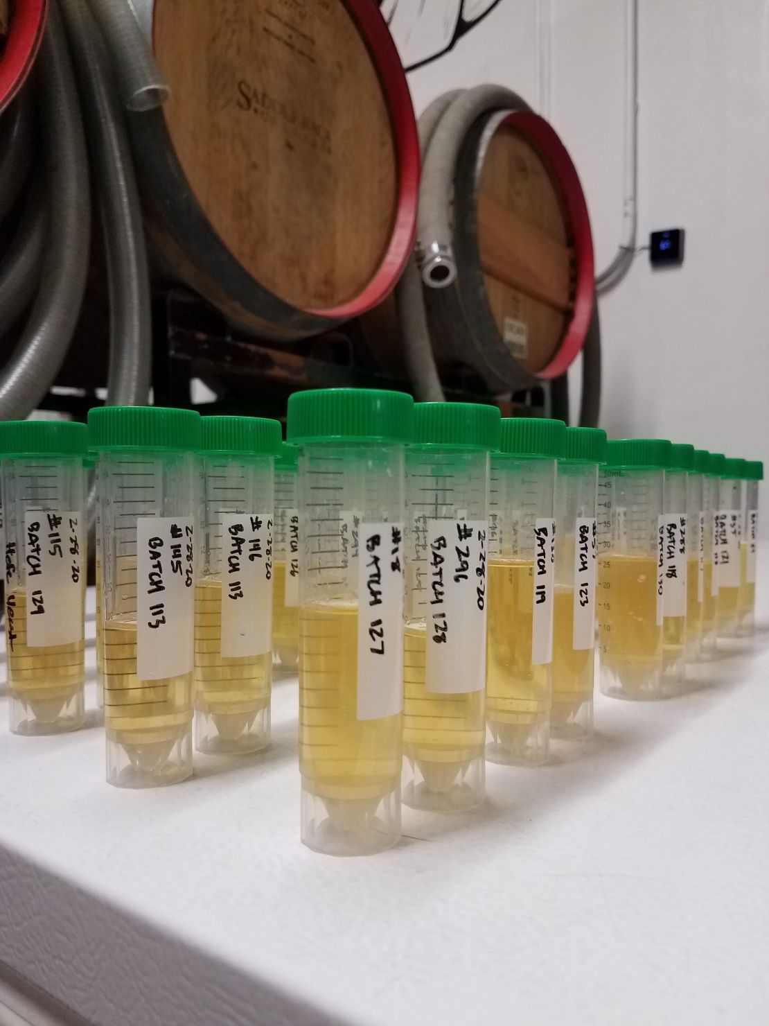 Sour beer The chemistry behind this wondrously complex craft brew CNN