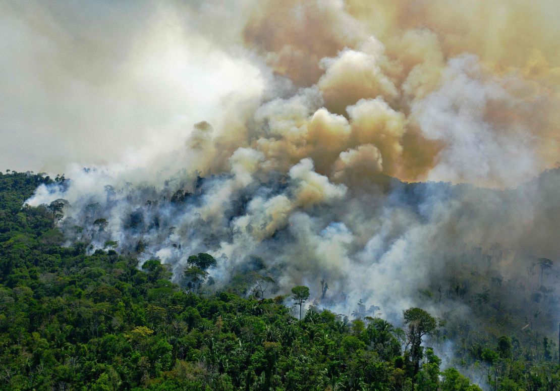 A fire rages in the Amazon in northern Brazil's Para state, on August 16, 2020. 