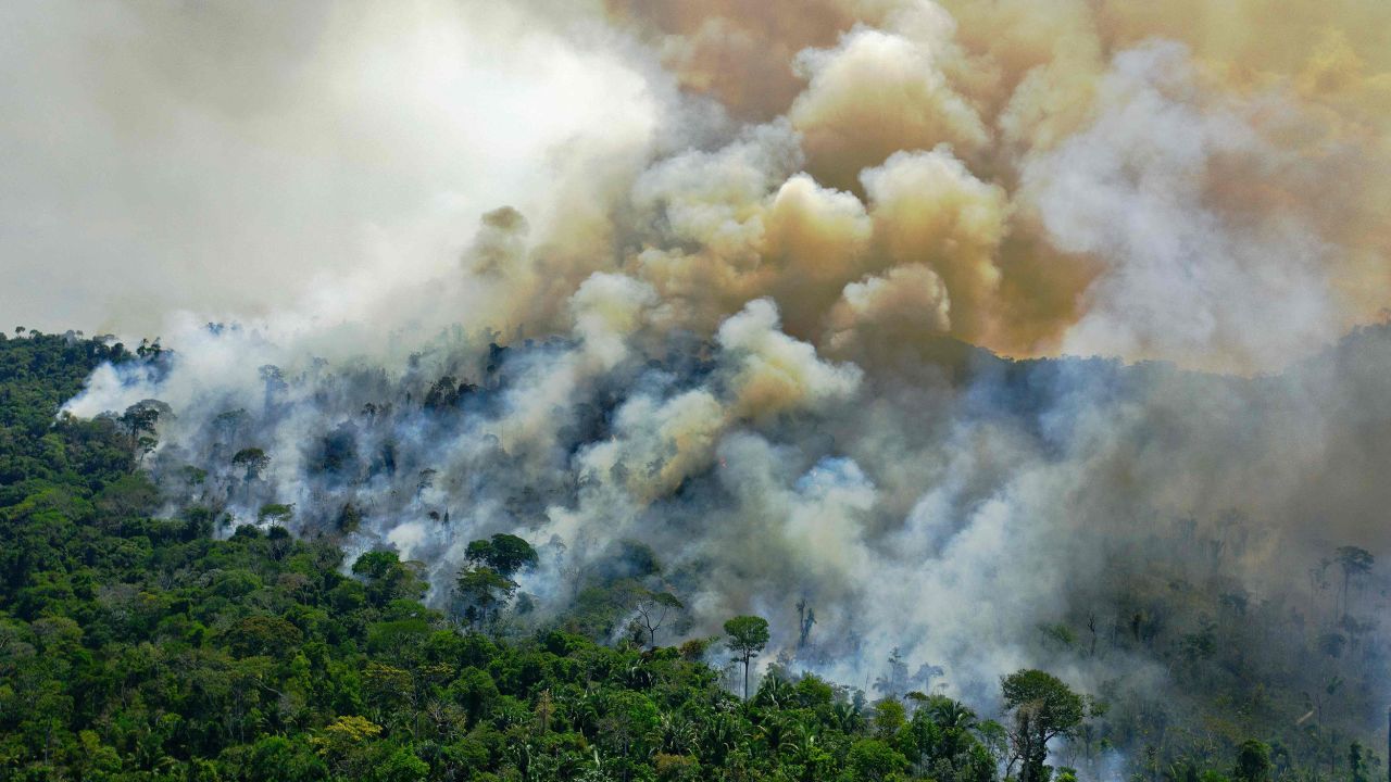 Aerial view of a burning area of Amazon rainforest reserve, south of Novo Progresso in Para state, on August 16, 2020. 