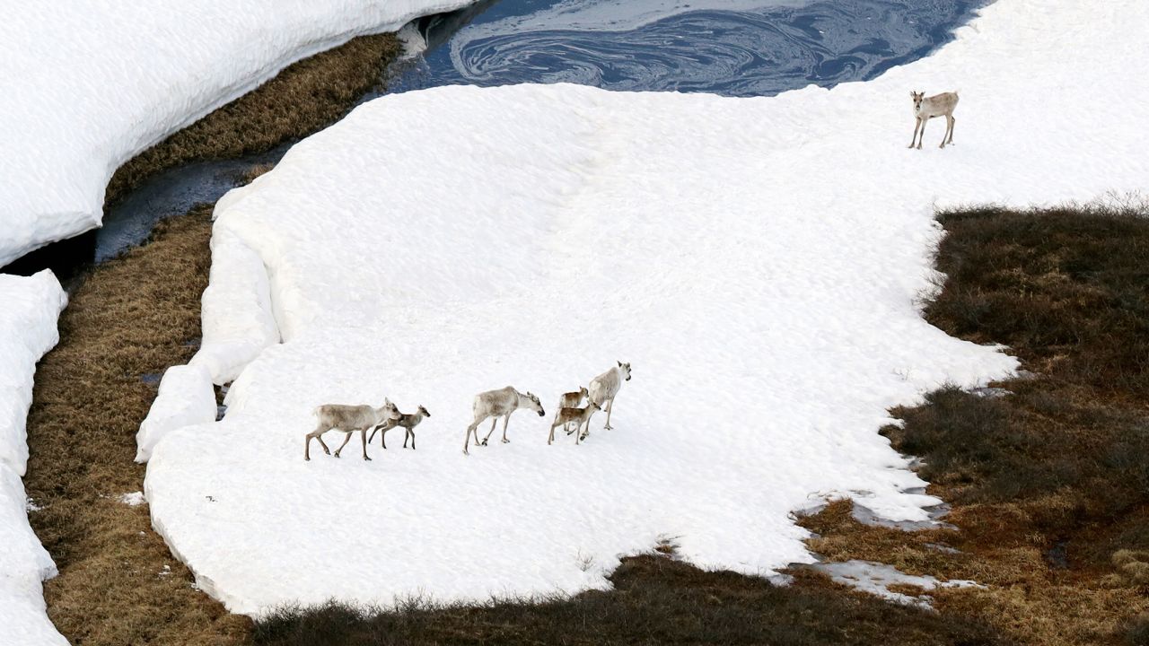 The Biden administration has annouced a ban on oil drilling in the Arctic National Wildlife Refuge in Alaska.