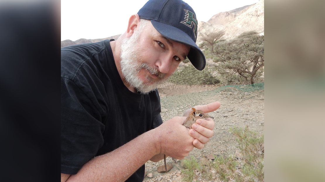 Researcher Steven Heritage with a Somali Sengi in his palm.