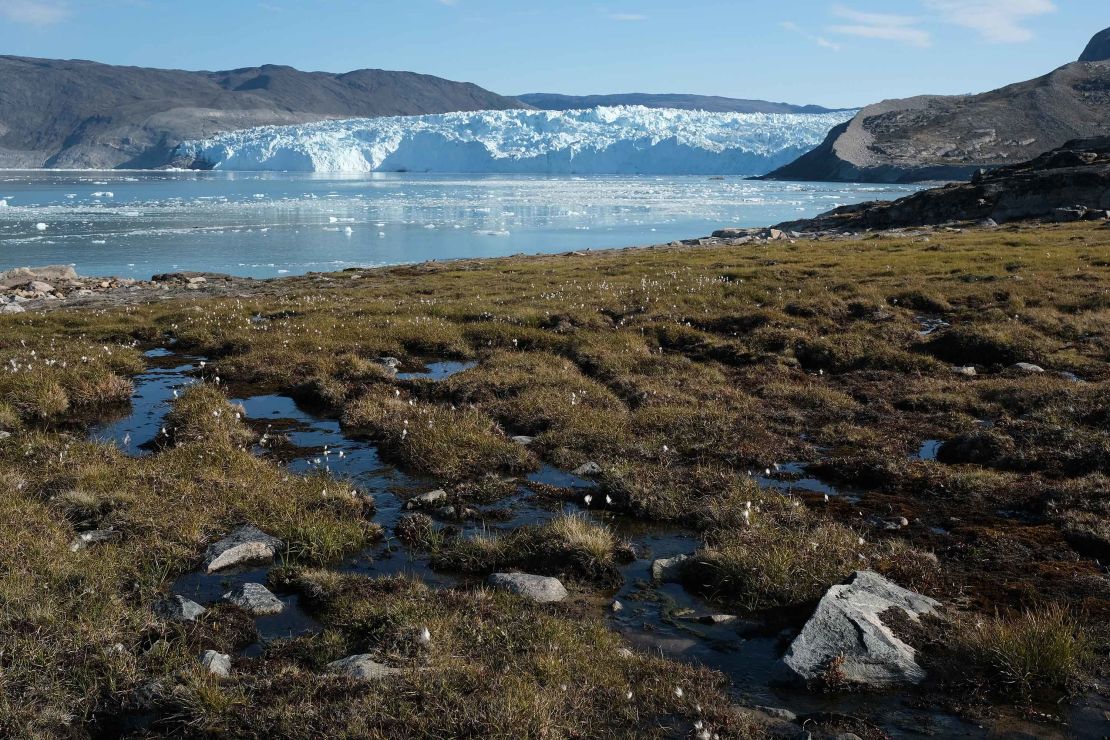 Water from the Greenland ice sheet flows through heather and peat during unseasonably warm weather on August 1, 2019 at Eqip Sermia, Greenland. 