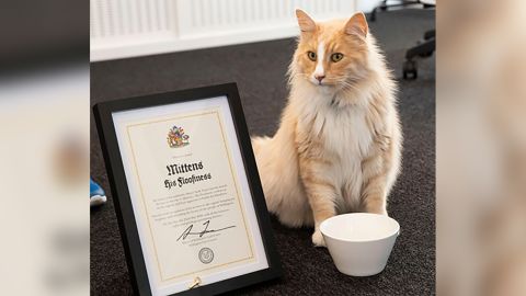 Mittens was given the key to the city of Wellington in May.