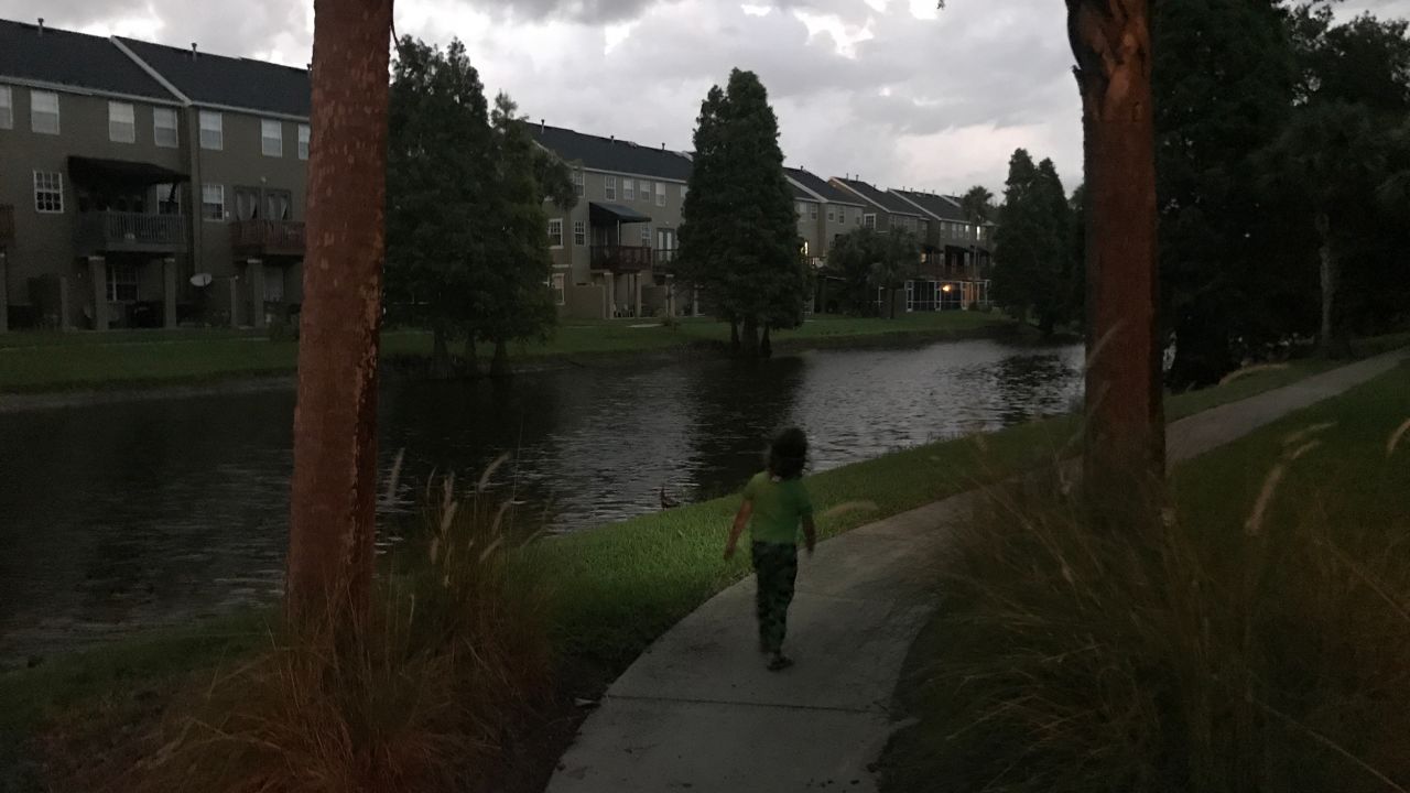 With her son, Nico (pictured), leading the way, author Terry Ward heads out on a nighttime listening walk.