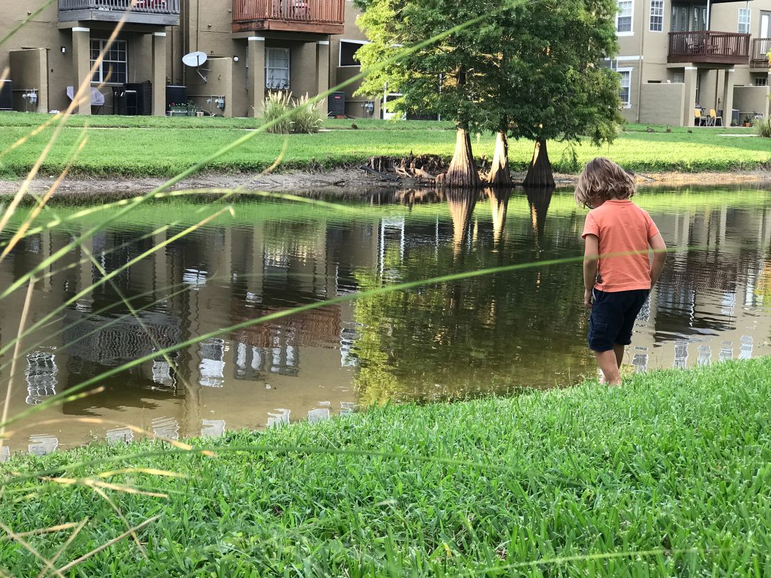 The author's son, Nico, connects with the neighborhood wetlands.