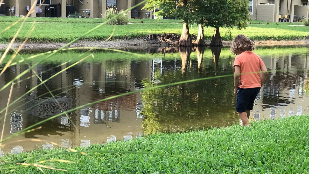 The author's son, Nico, connects with the neighborhood wetlands.