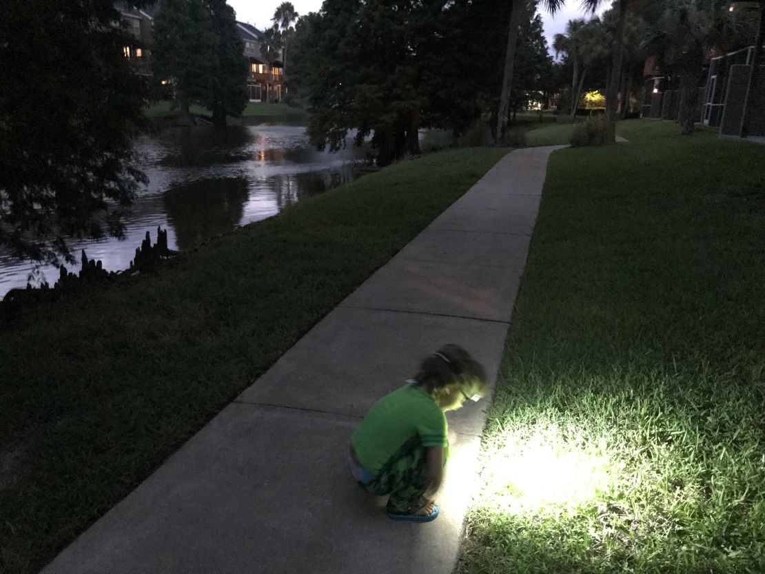 Nico studies the grass while taking in the surrounding sounds in the darkness.