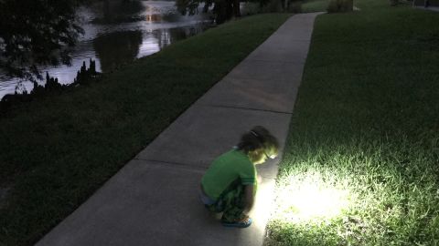 Nico studies the grass while taking in the surrounding sounds in the darkness.